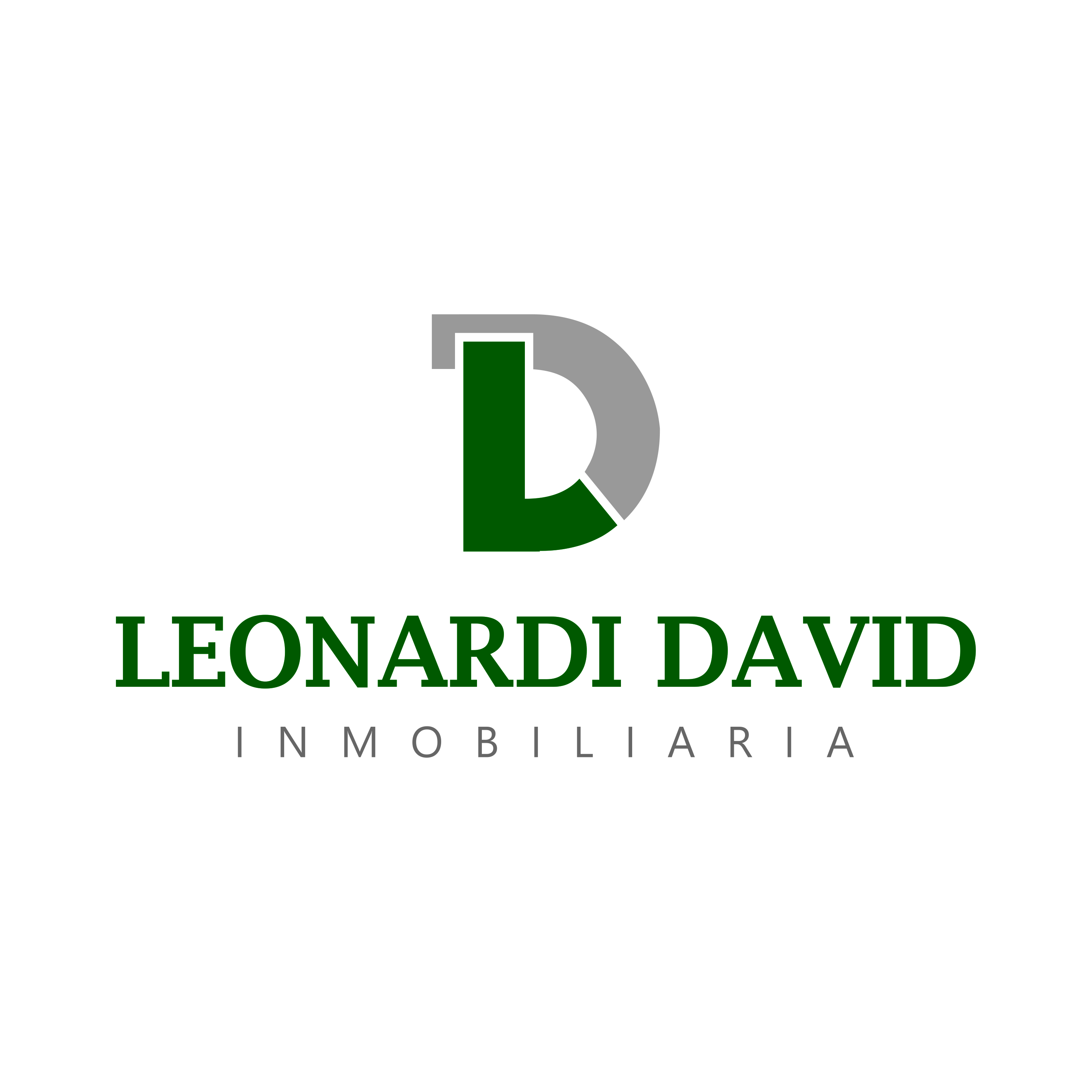 Logo de Leonardi David