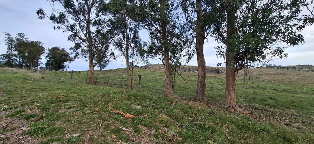 EN VENTA 5 LOTES SOBRE RUTA 30 (JUNTOS O SEPARADOS)