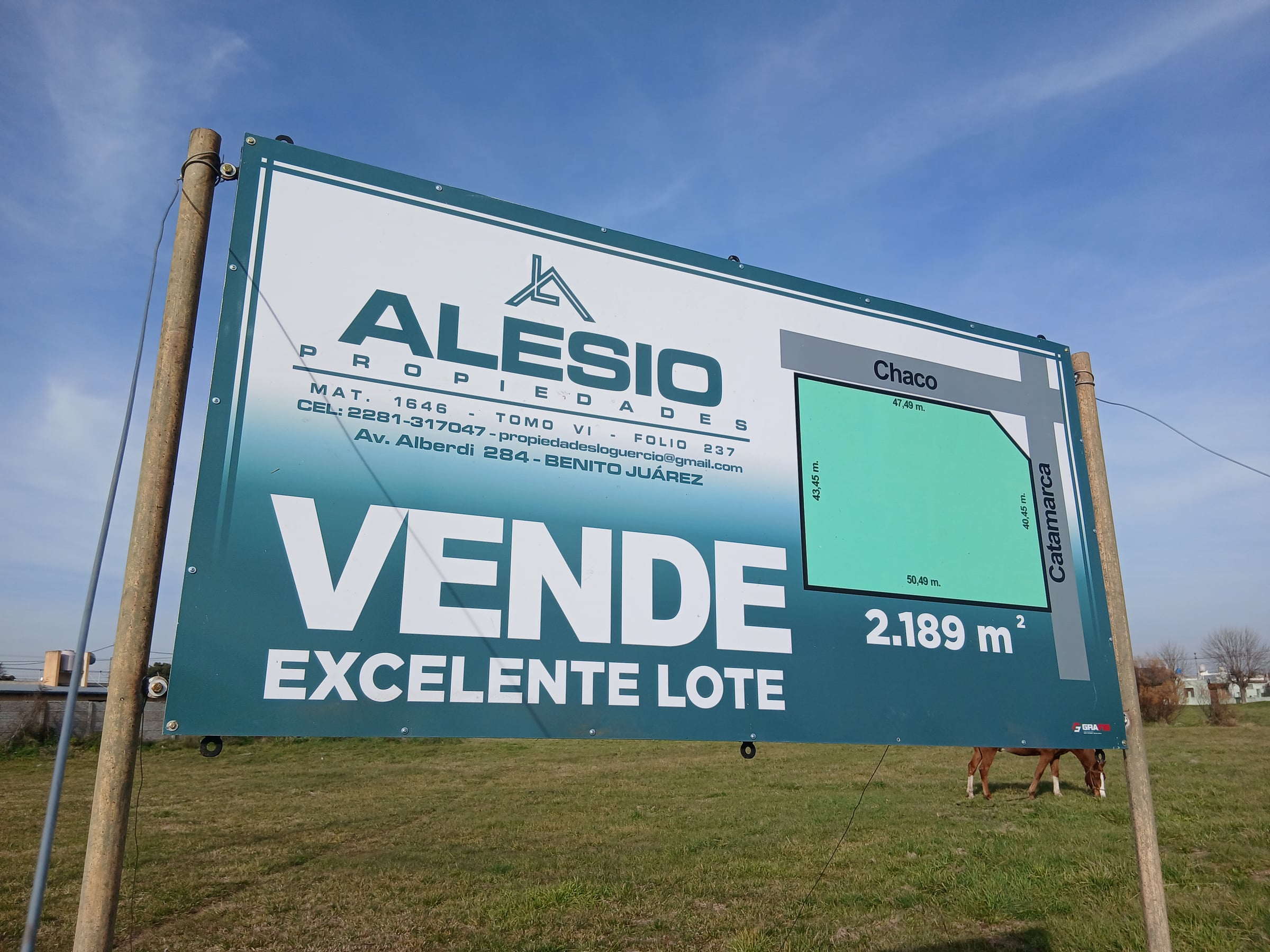 LOTE DE EXCELENTES DIMENSIONES 🌳
