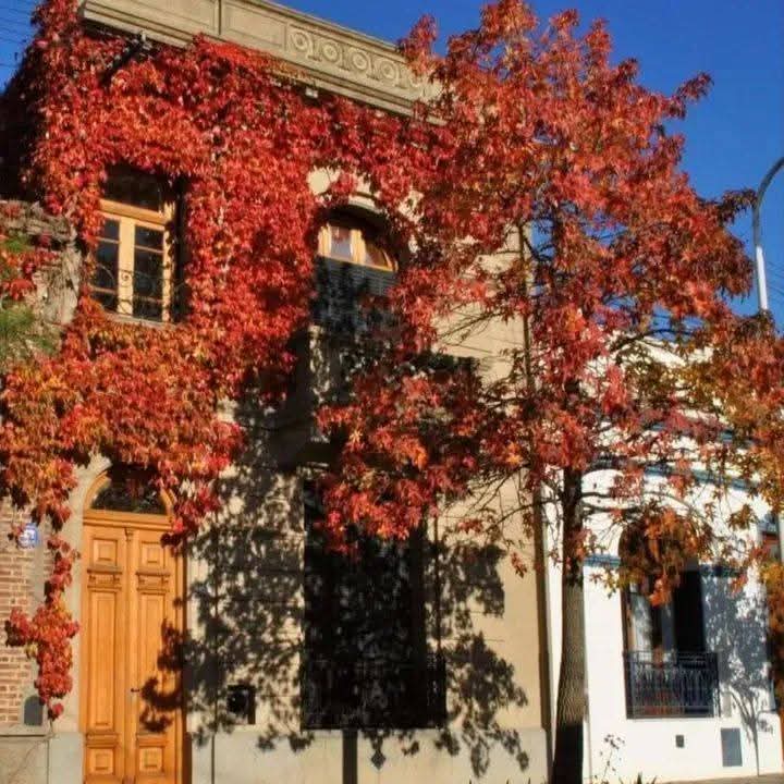 CASONA CORTE ANTIGUO 🏡