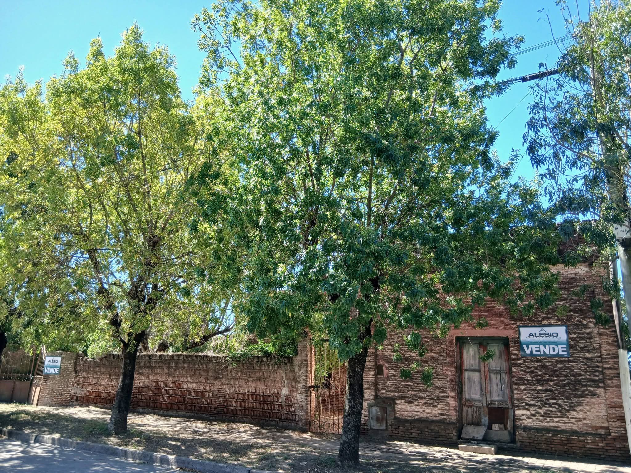 EXCELENTE LOTE CÉNTRICO