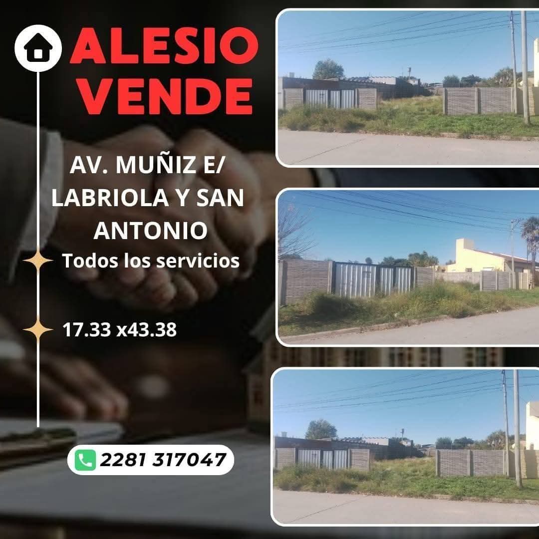 EXCELENTE LOTE ✅️