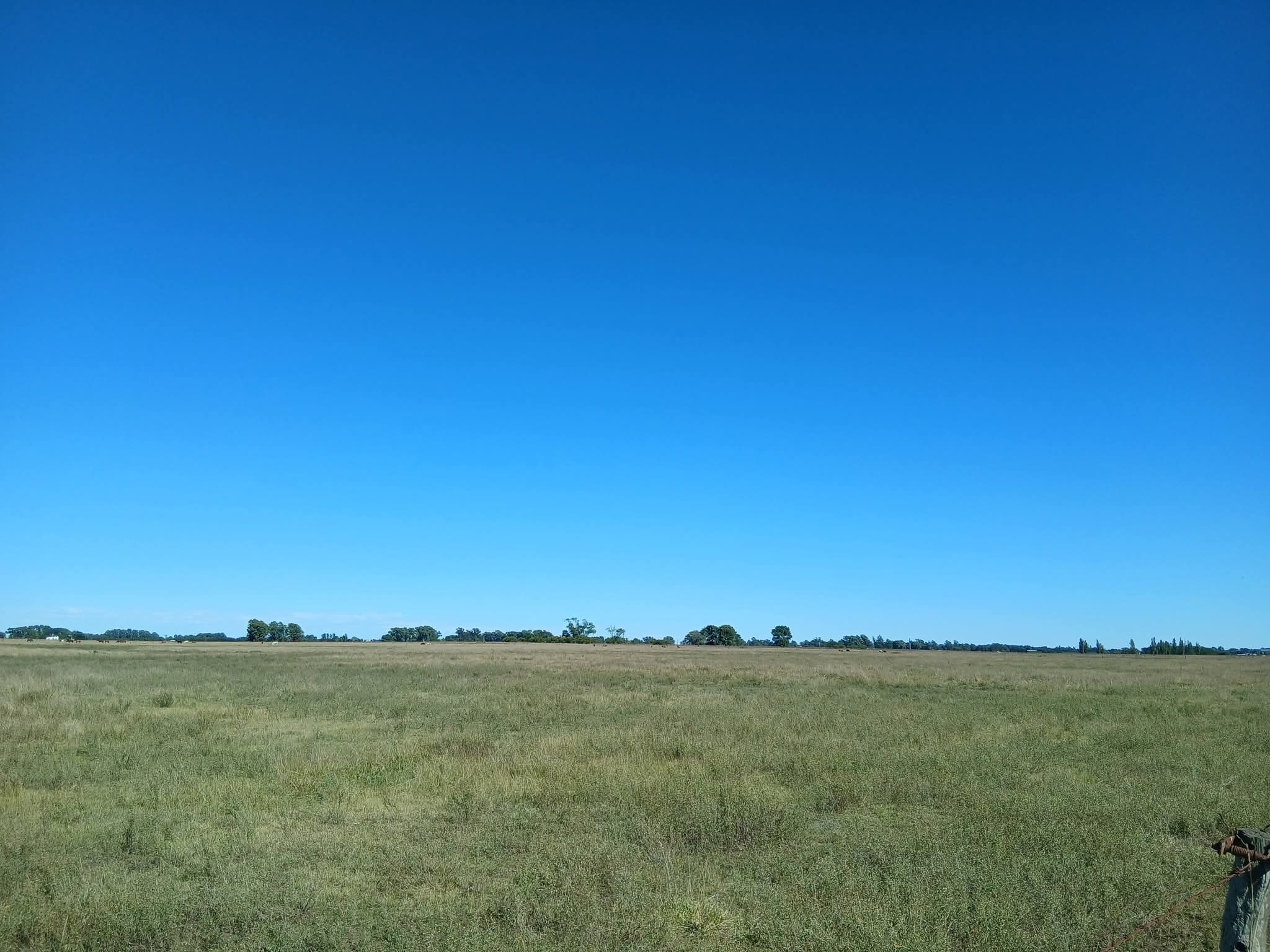 CHACRA 20 HECTÁREAS ✅️