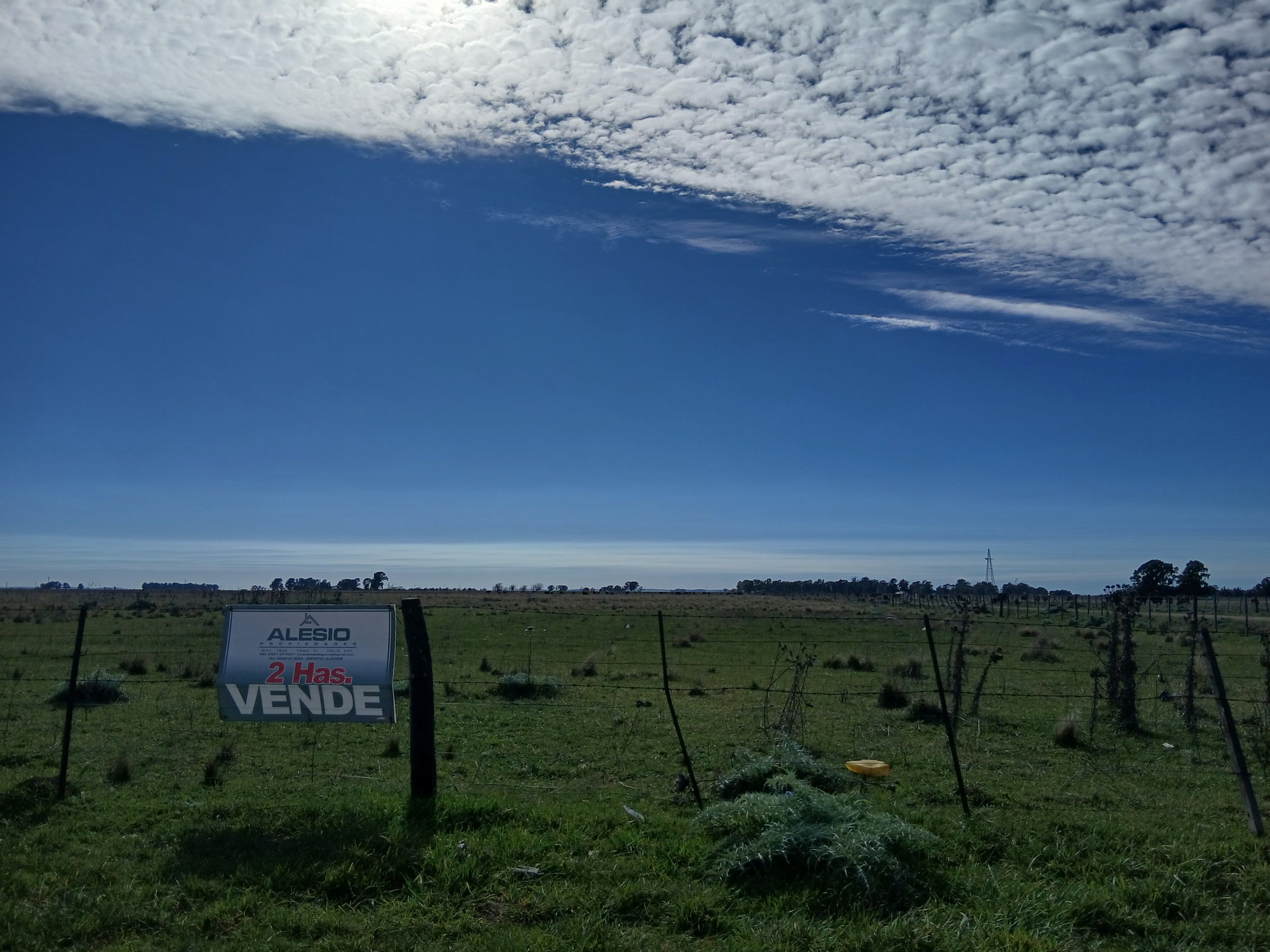 QUINTA DE 2 HECTÁREAS 🌳
