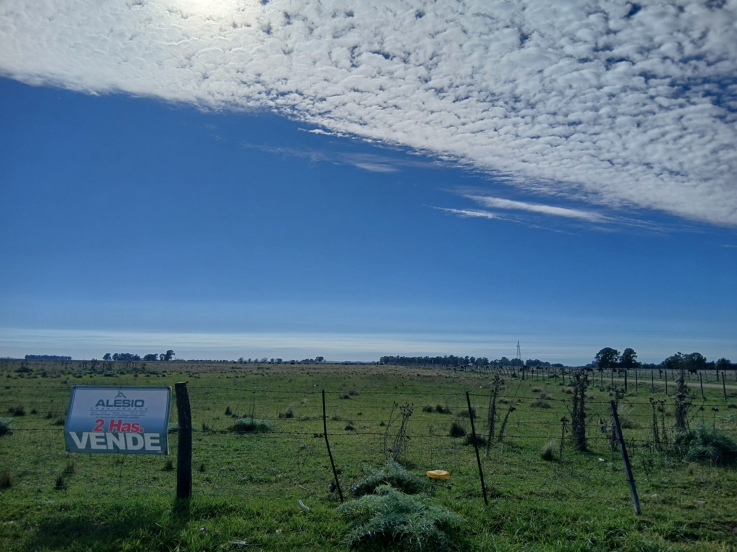 QUINTA DE 2 HECTÁREAS 🌳