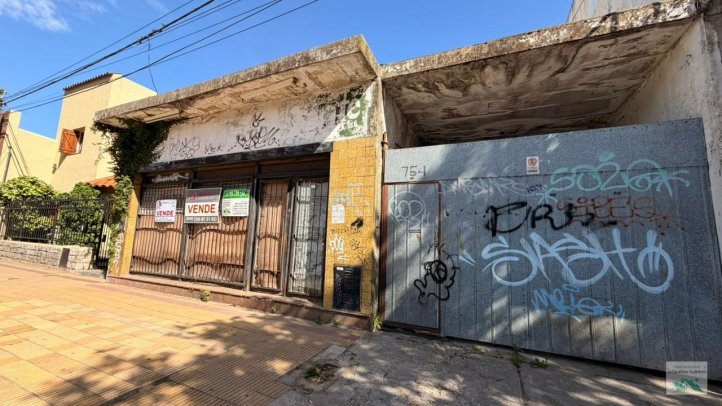 Lote 500m² en zona comercial — Av. Avellaneda al 700