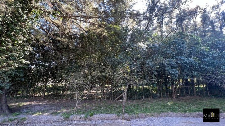 Lote en Venta sobre Pozos y Av. Brasil - 1750 m²
