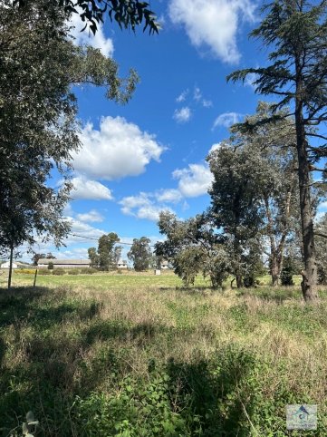 Lote en Venta de 470m² y 692m² con servicios — Américo Reinoso