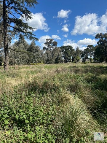 Lote en Venta de 470m² y 692m² con servicios — Américo Reinoso