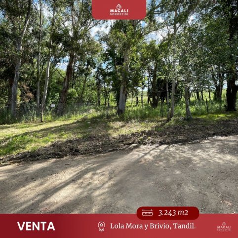 Lote en Venta 3243m² en Lola Mora y Brivio