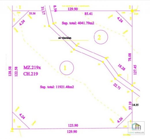 Lote en Venta 15963m² en Ronca Hue y Las Liebres