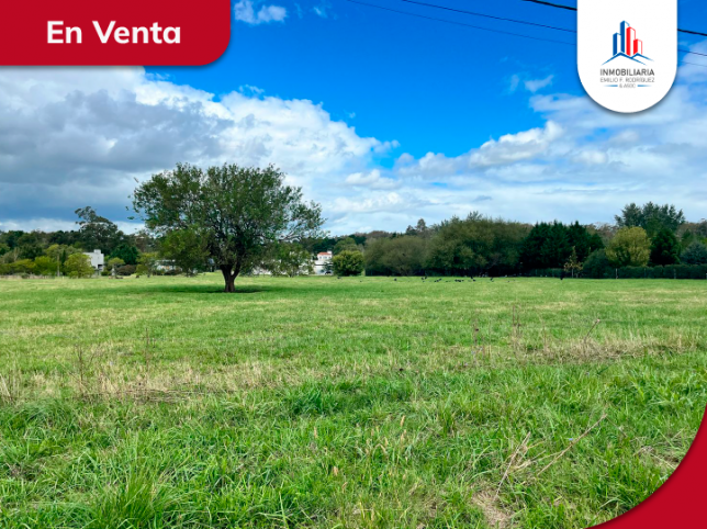Lote en Venta 7500m² con increíble vista — Calihue