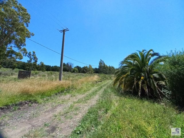 Lote en Venta de 4 HA en Francia y Cerro del Aguila