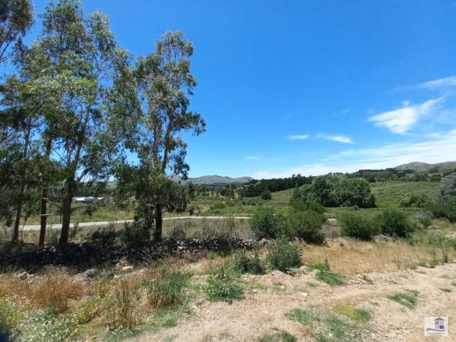 Lote en Venta de 4 HA en Francia y Cerro del Aguila