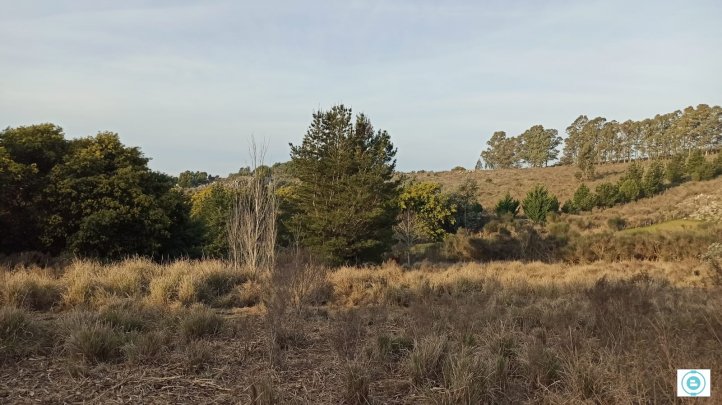 Hectárea en Sierra del Tigre, 15000m²