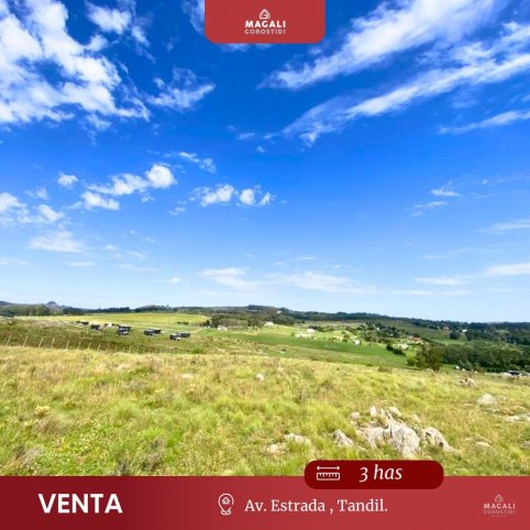 Lote en Venta 30000m² Av. Estrada