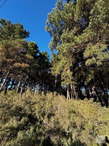 Lote en venta de 5625m² en Don Bosco