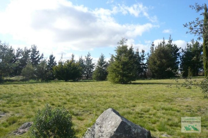 Lote en Cerro Leones de 50000m² ideal proyecto turístico