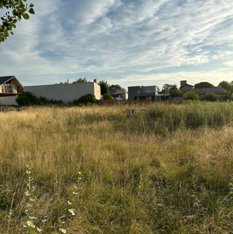 VENTA | LOTE 3 - LA PESQUERIA