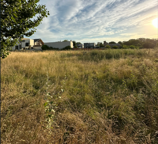 VENTA | LOTE 3 - LA PESQUERIA