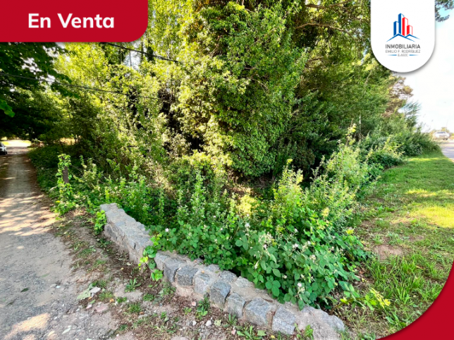 Lote en Venta sobre Av. Fleming, 4100m² — Ideal desarrollo Turístico