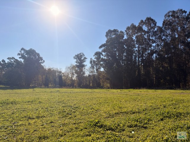 Lote en venta de 7507m² en excelente ubicación — Av. Don Bosco y Holanda