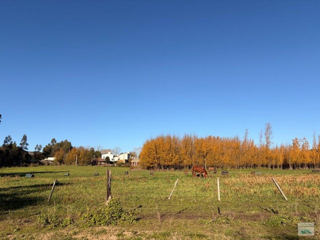 Lote en venta de 7507m² en excelente ubicación — Av. Don Bosco y Holanda