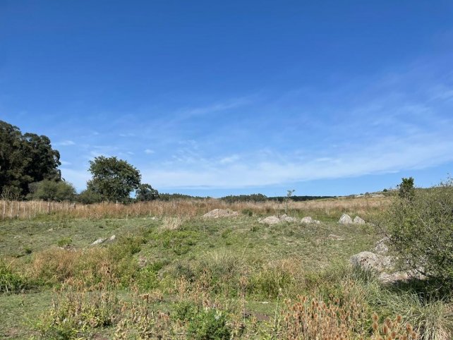 Lote en Venta de 15960m² con vista a las sierras