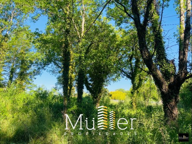 Esquerdo y Muñiz