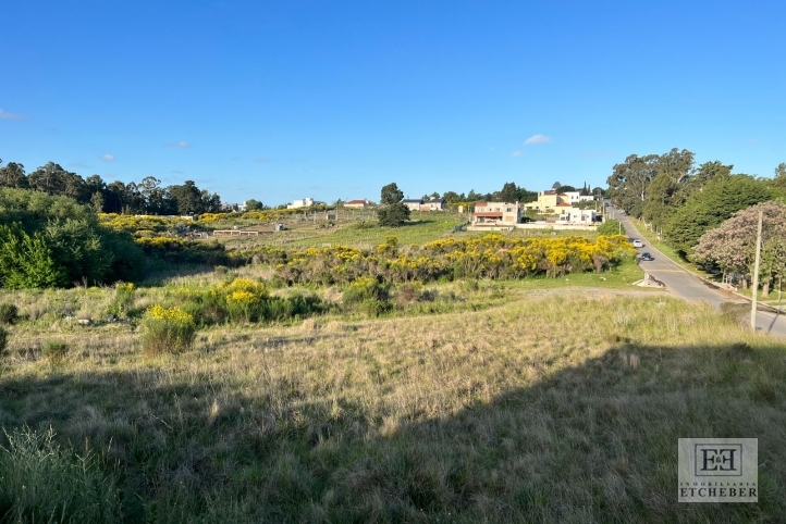 Lote en venta de 1800m² con vista a las sierras — Larrea y Martin Fierro
