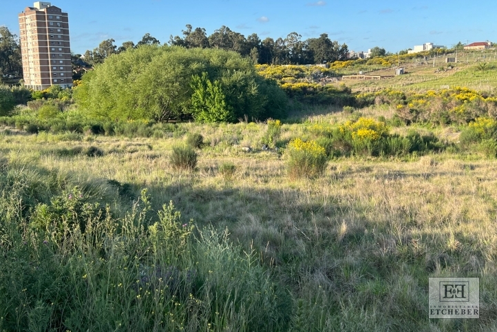 Lote en venta de 1800m² con vista a las sierras — Larrea y Martin Fierro