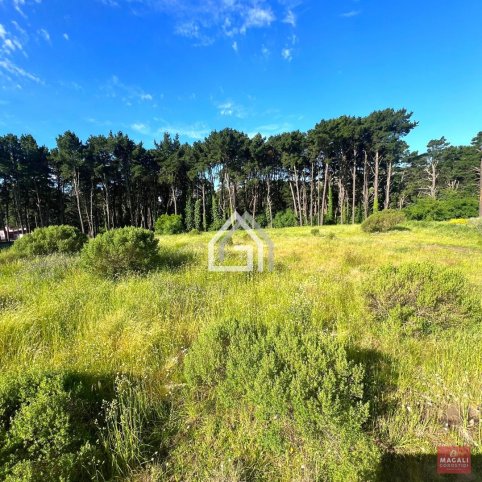 Lote en Venta 251m² con luz, gas y agua — Cereseto y Ecuador