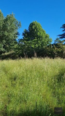 Lote en Venta de 1100m² con todos los servicios — Golf