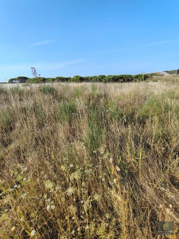 Lote en esquina de 4000 m² en Rosas y Cabaña — Tandil