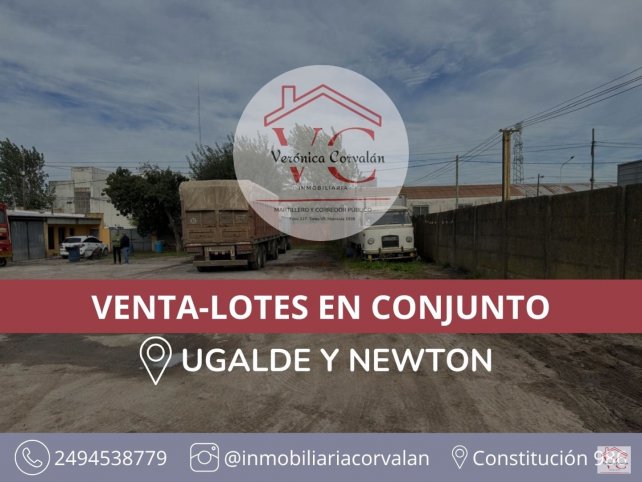 Ugalde y Newton