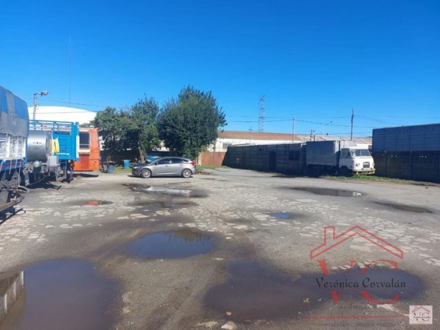 Ugalde y Newton