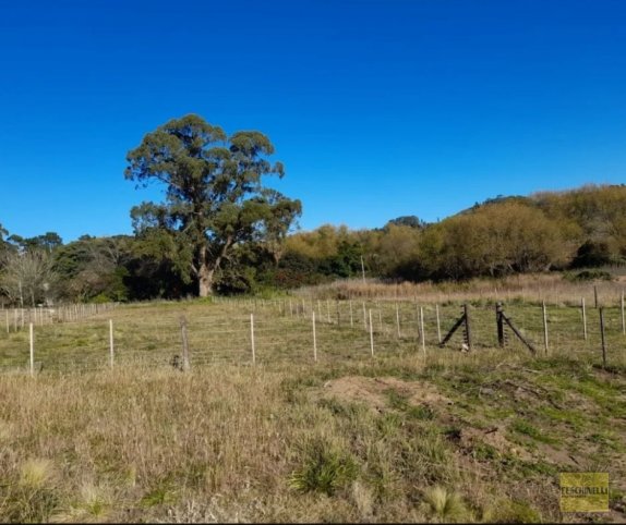 Lote en esquina 40x50, 2100m² con servicios — Zona Av Don Bosco