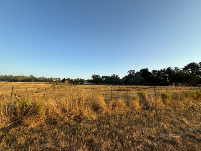 Lote en Venta 4200m² en Los Ceibos