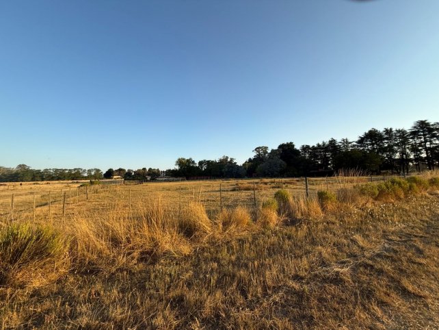 Lote en Venta 4200m² en Los Ceibos