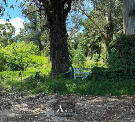Lote en venta 650m² - Zona Uncas