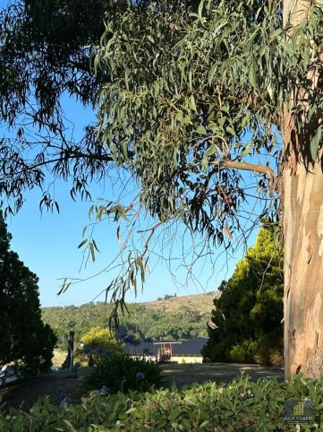 Lote en Venta 2025 m² en Capponi al 300 — Zona Tranquila