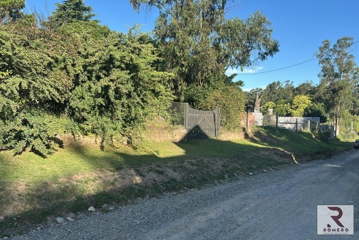 LOS AROMOS 1140