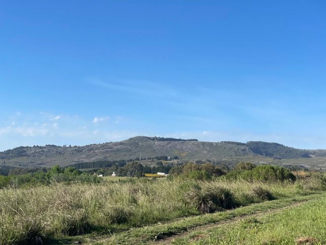Lote en Venta de 4200m² en Agapantos y Rosas