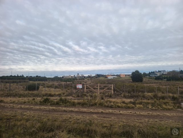 Las casualinas y Los peñascos