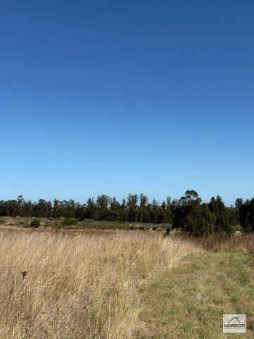 CERRO LEONES