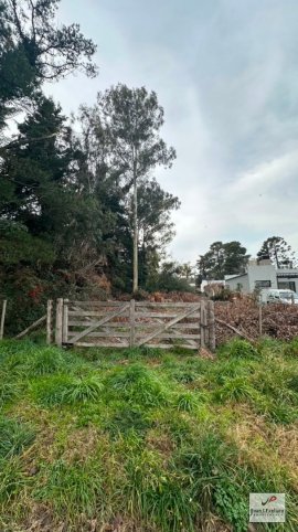 Lote en Venta Giaconi E/ Calihué y Perdiz