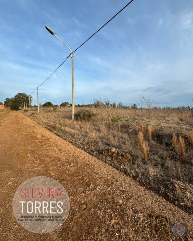 Lote en Venta en Palacios y Av. Circunvalación, 290m² — Zona Graduados