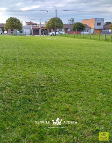 Lote en Venta sobre Av. Salceda, 26m de frente y 43m de fondo