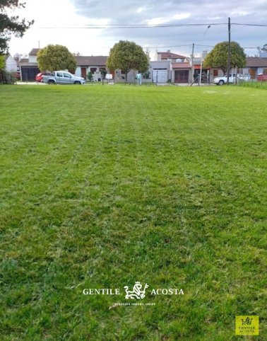 Lote en Venta sobre Av. Salceda, 26m de frente y 43m de fondo