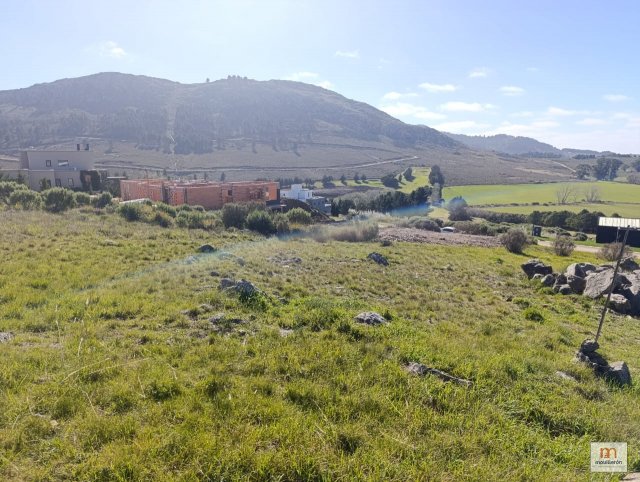 Country Golf Valle Escondido - Lote 223